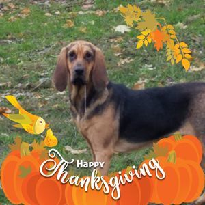 Meet your Posher, Denise